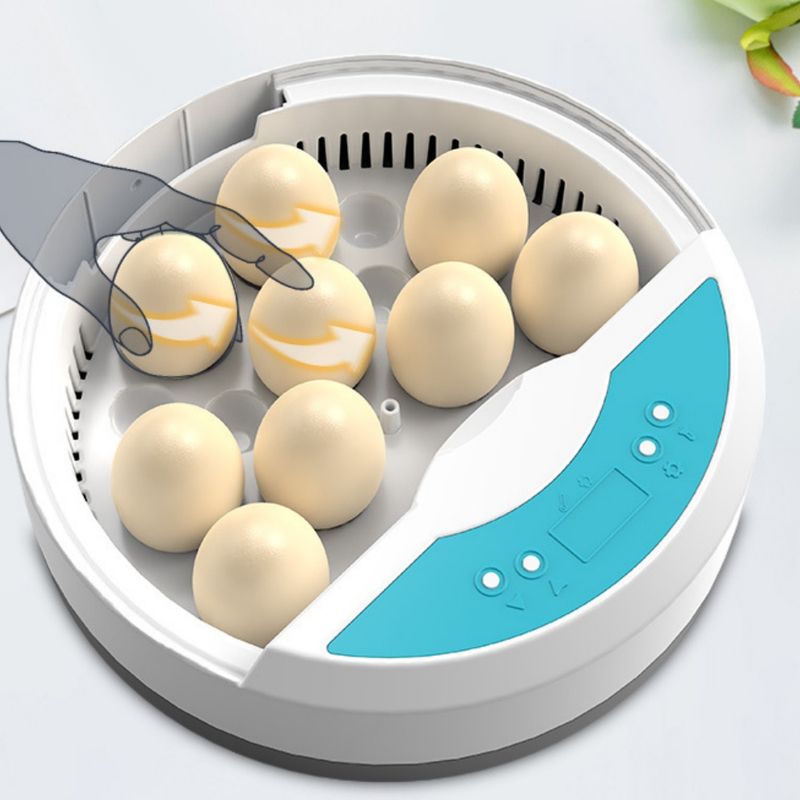 Petopia Incubateur d'œufs mini
