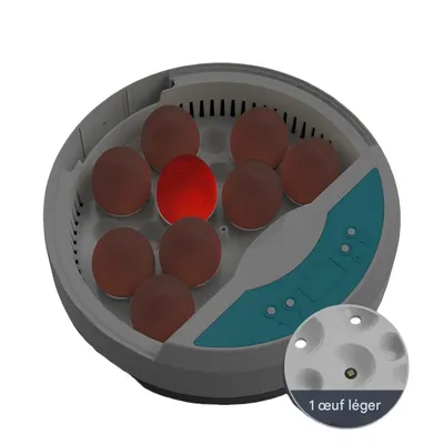 Petopia Incubateur d'œufs mini