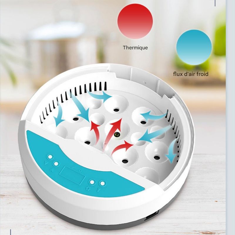 Petopia Incubateur d'œufs mini