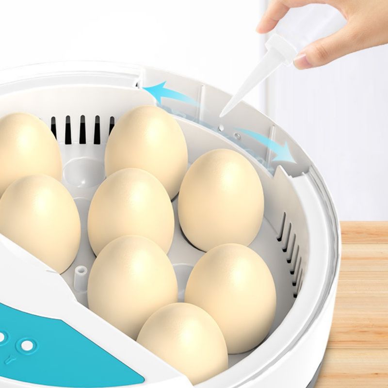 Petopia Incubateur d'œufs mini