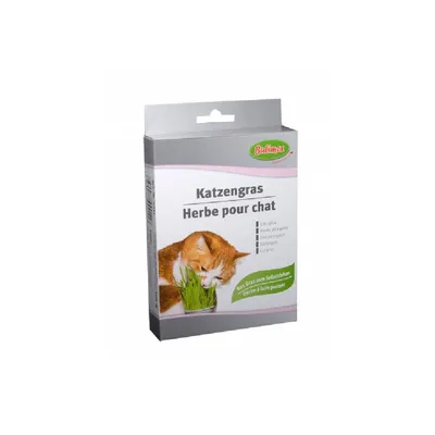 Coffret pour Chat