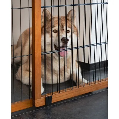 lionto barrière pour chien en bois extensible jusqu'à 180 cm