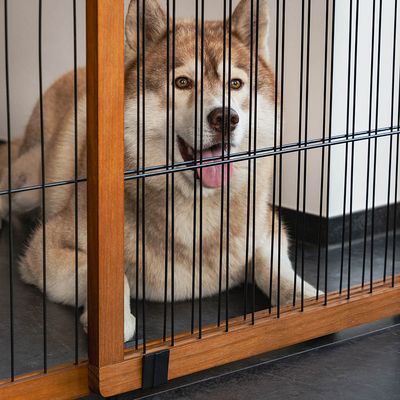 lionto Absperrgitter für Hunde ausziehbar, 70 cm Höhe, braun/schwarz