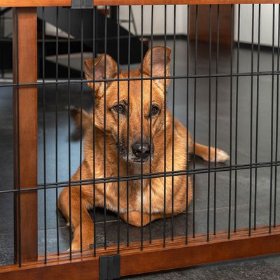 lionto Absperrgitter für Hunde ausziehbar, 50 cm Höhe, braun/schwarz