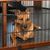 lionto barrière de sécurité pour chien extensible, bois et métal