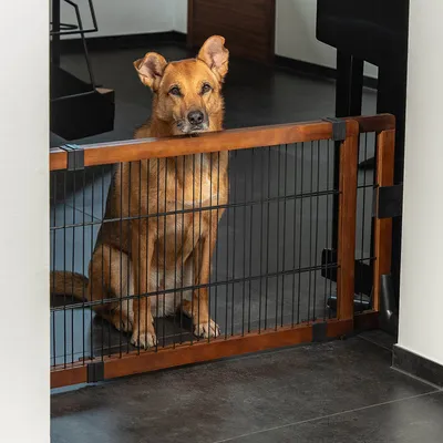 lionto barrière de sécurité pour chien extensible, bois et métal