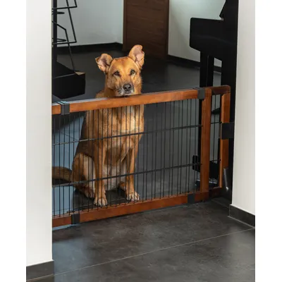 lionto barrière pour chien en bois extensible jusqu'à 180 cm