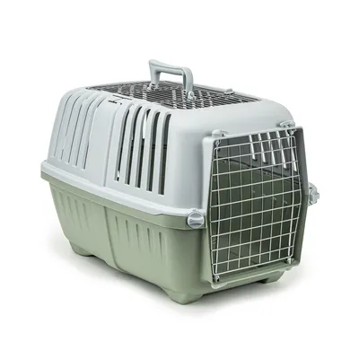 lionto caisse de transport pour chien avec poignée et aération lionto caisse de transport pour chien avec poignée et aération