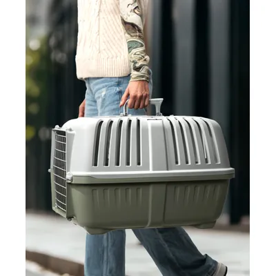 lionto caisse de transport pour chien avec poignée et aération lionto caisse de transport pour chien avec poignée et aération