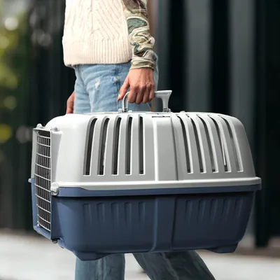 lionto caisse de transport pour chien avec poignée et aération