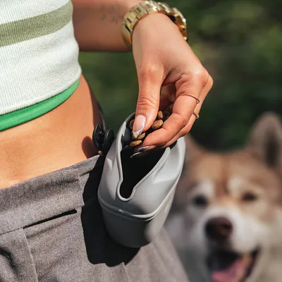 lionto pochette friandises chien en silicone, fermeture magnétique clip