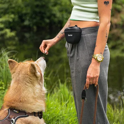 lionto pochette friandises chien en silicone, fermeture magnétique clip