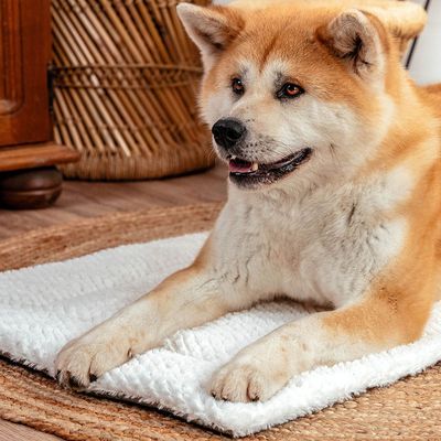 lionto Wendedecke für Hunde, weich, waschbar und wärmeisolierend