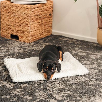 lionto Wendedecke für Hunde, weich, waschbar und wärmeisolierend