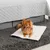 lionto couverture pour chien réversible, lavable et isolante lionto couverture pour chien réversible, lavable et isolante