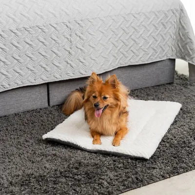 lionto couverture pour chien réversible, lavable et isolante lionto couverture pour chien réversible, lavable et isolante