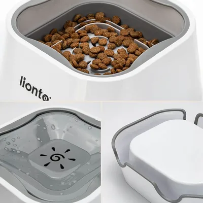 lionto gamelle anti-éclaboussures pour chien, antidérapante et 2-en-1