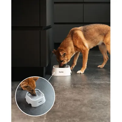 lionto gamelle anti-éclaboussures pour chien, antidérapante et 2-en-1