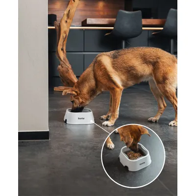 lionto gamelle anti-éclaboussures pour chien, antidérapante et 2-en-1