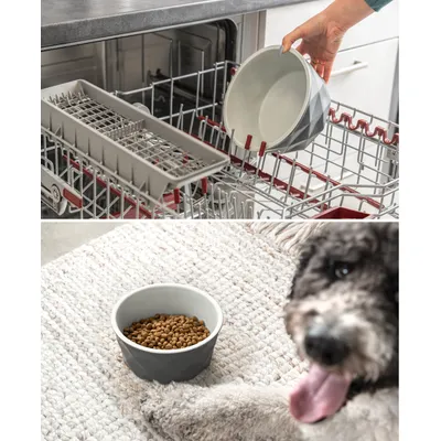 lionto gamelle en céramique pour chien, stable, élégante et facile à vivre lionto gamelle en céramique pour chien, stable, élégante et facile à vivre