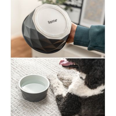 lionto Keramiknapf für Hunde – stabil, elegant und pflegeleicht