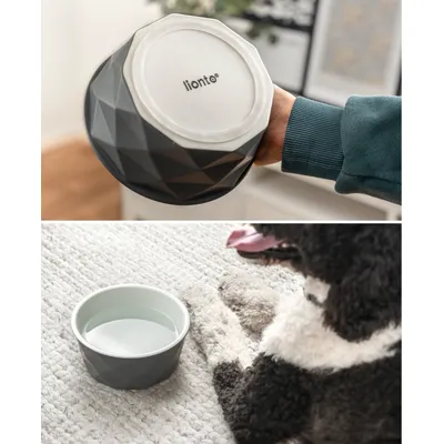 lionto gamelle en céramique pour chien, stable, élégante et facile à vivre lionto gamelle en céramique pour chien, stable, élégante et facile à vivre