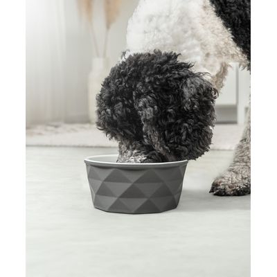 lionto Keramiknapf für Hunde – stabil, elegant und pflegeleicht