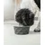 lionto gamelle en céramique pour chien, stable, élégante et facile à vivre lionto gamelle en céramique pour chien, stable, élégante et facile à vivre