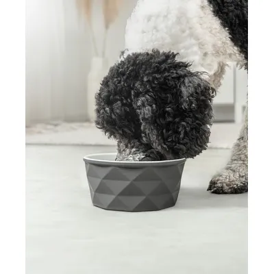 lionto gamelle en céramique pour chien, stable, élégante et facile à vivre lionto gamelle en céramique pour chien, stable, élégante et facile à vivre
