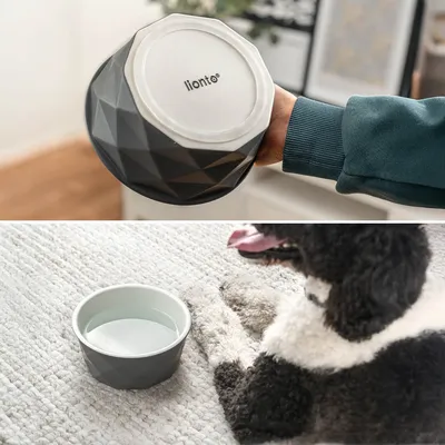 lionto gamelle en céramique pour chien, stable, élégante et facile à vivre