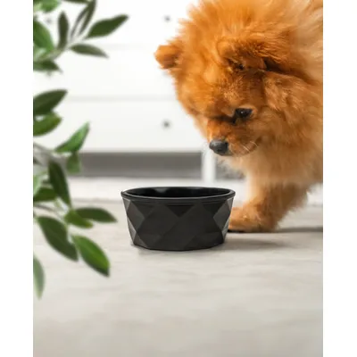lionto gamelle en céramique pour chien, stable, élégante et facile à vivre
