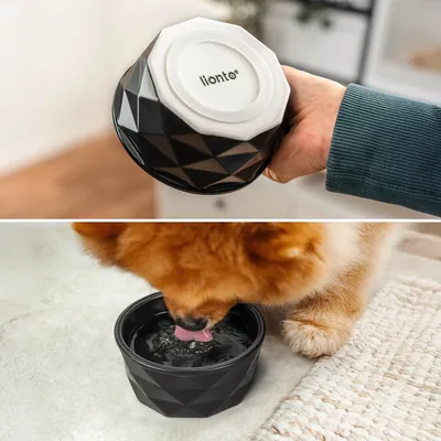 lionto gamelle en céramique pour chien, stable, élégante et facile à vivre