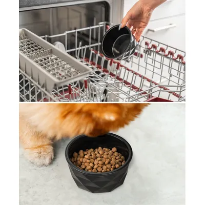 lionto gamelle en céramique pour chien, stable, élégante et facile à vivre
