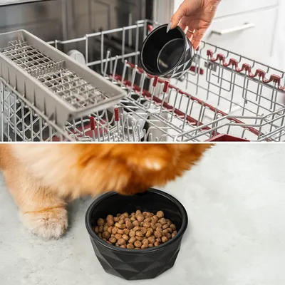 lionto gamelle en céramique pour chien, stable, élégante et facile à vivre