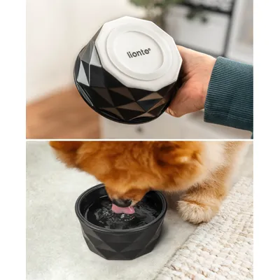 lionto gamelle en céramique pour chien, stable, élégante et facile à vivre