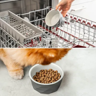 lionto gamelle en céramique pour chien, stable, élégante et facile à vivre