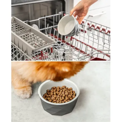 lionto gamelle en céramique pour chien, stable, élégante et facile à vivre