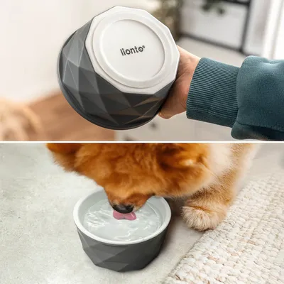 lionto gamelle en céramique pour chien, stable, élégante et facile à vivre