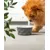 lionto gamelle en céramique pour chien, stable, élégante et facile à vivre