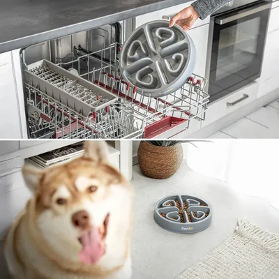 lionto Anti-Schling-Napf für Hunde, rutschfest und lebensmittelecht