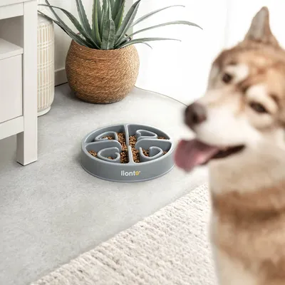 lionto gamelle anti-glouton pour chien, antidérapante et alimentaire