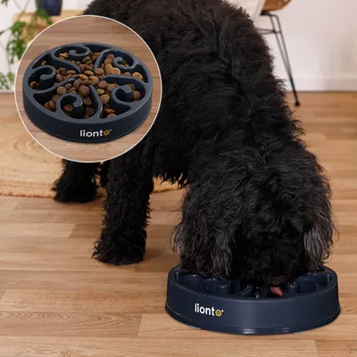 lionto gamelle anti-glouton pour chien, antidérapante et alimentaire