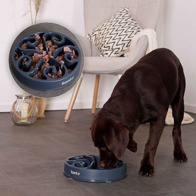 lionto gamelle anti-glouton pour chien, antidérapante et alimentaire