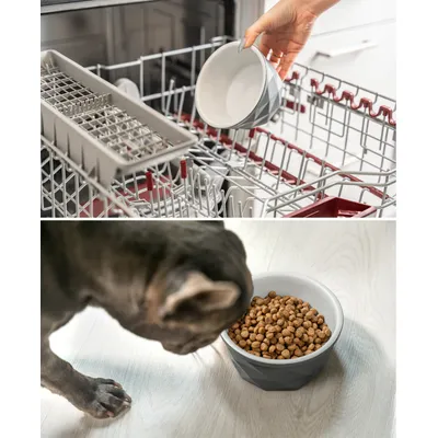 lionto gamelle en céramique pour chien, stable, élégante et facile à vivre