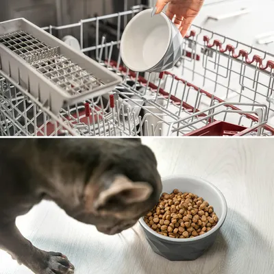 lionto gamelle en céramique pour chien, stable, élégante et facile à vivre