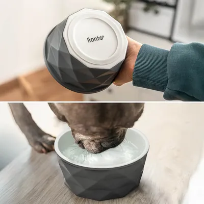lionto gamelle en céramique pour chien, stable, élégante et facile à vivre