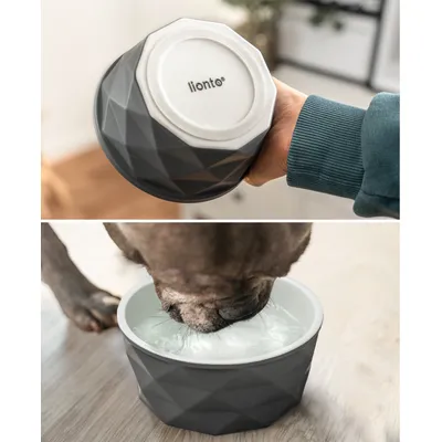 lionto gamelle en céramique pour chien, stable, élégante et facile à vivre