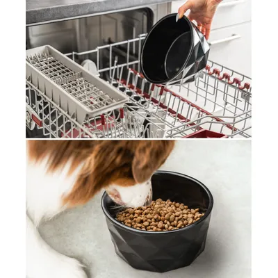 lionto Keramiknapf für Hunde – stabil, elegant und pflegeleicht