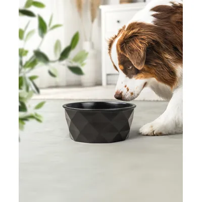 lionto gamelle en céramique pour chien, stable, élégante et facile à vivre lionto gamelle en céramique pour chien, stable, élégante et facile à vivre