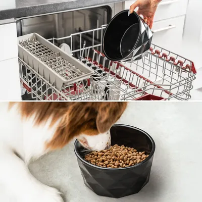 lionto gamelle en céramique pour chien, stable, élégante et facile à vivre